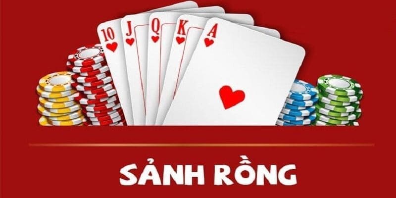 Trả lời sơ bộ về câu hỏi sảnh rồng là gì cho newbie